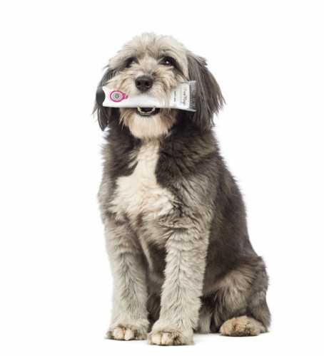 Shear Magic Tuffy 3800 Cordless Clipper (A5 style)