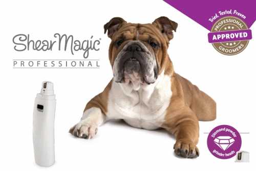 Shear Magic Nail File