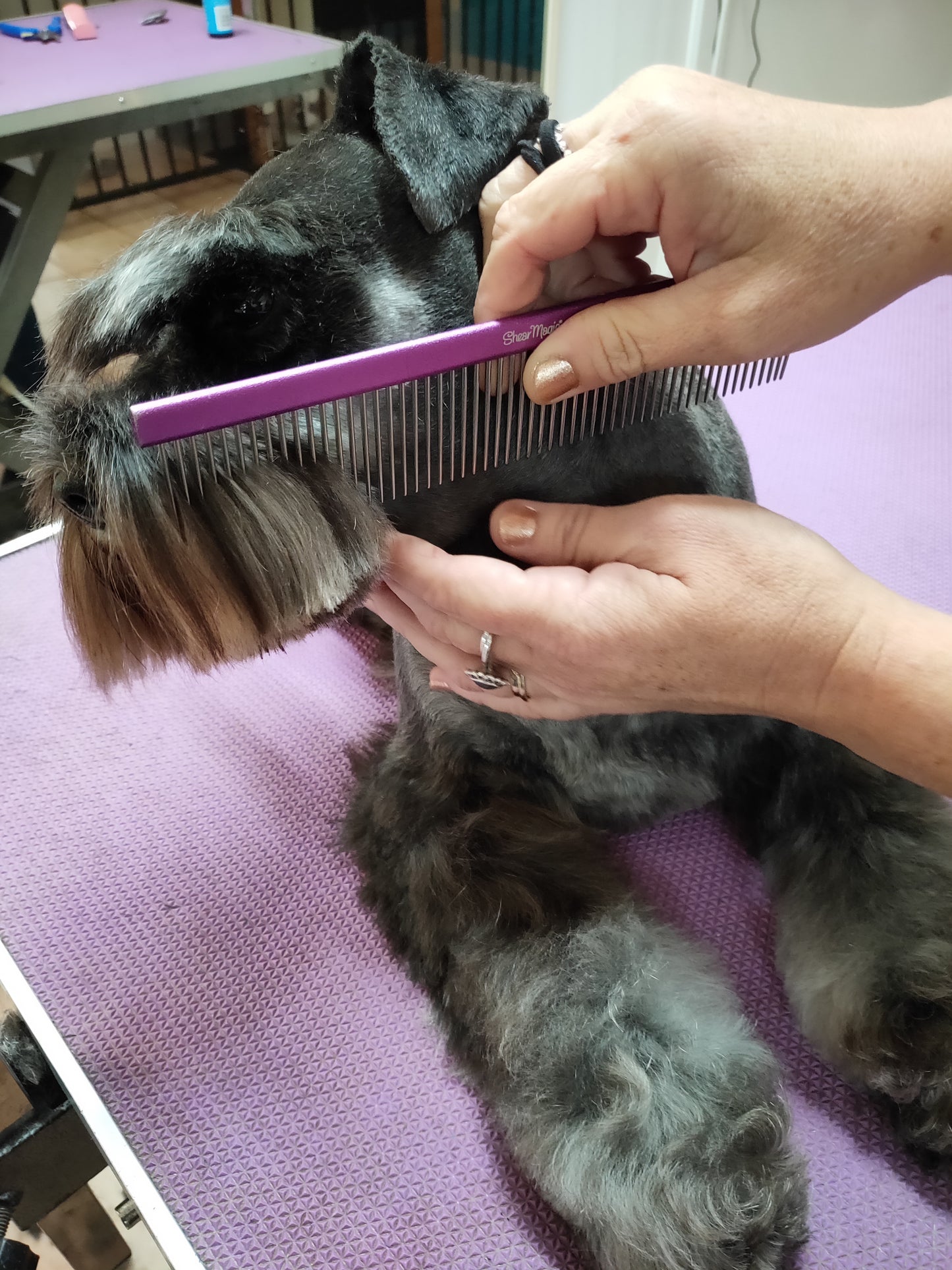 Professional Aluminium Comb 230mm 56T