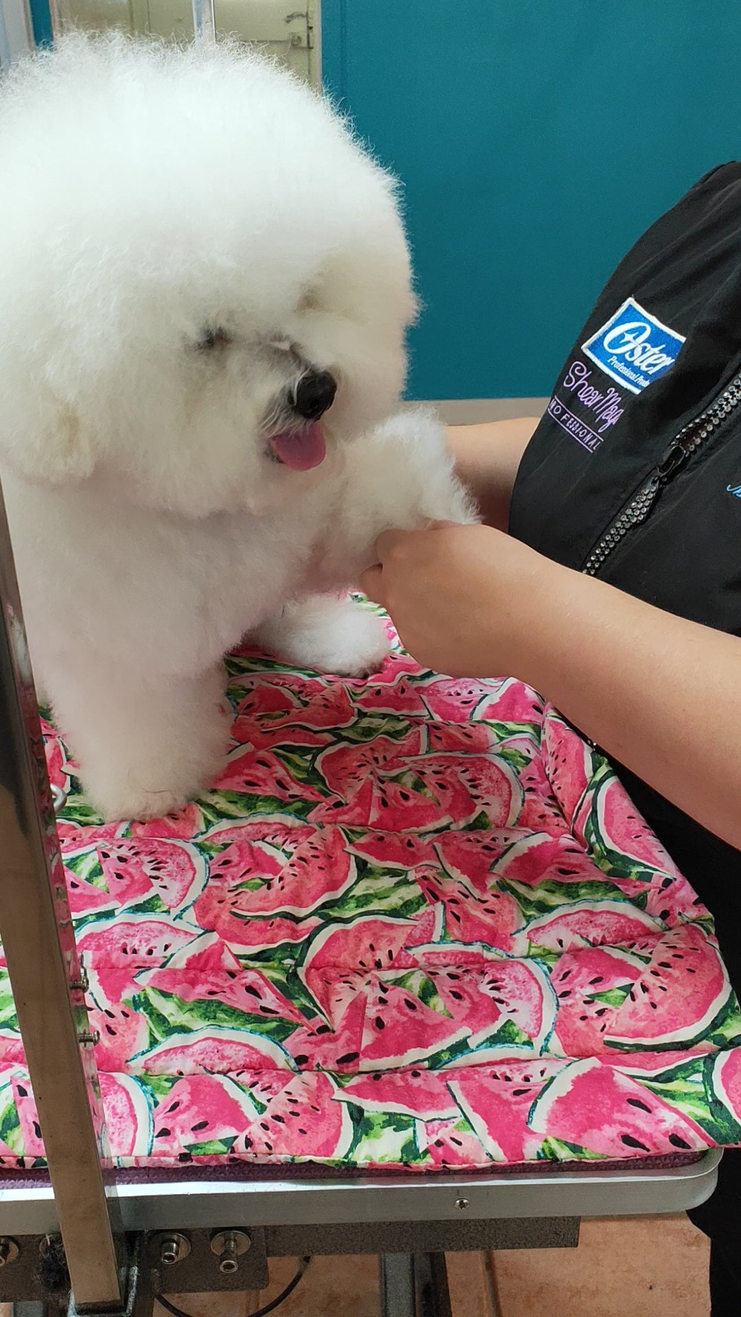 Shear Magic nail grinder