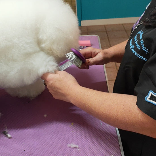 Shear Magic pin brush