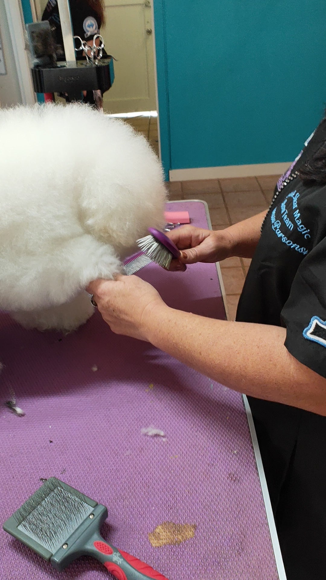 Shear Magic pin brush