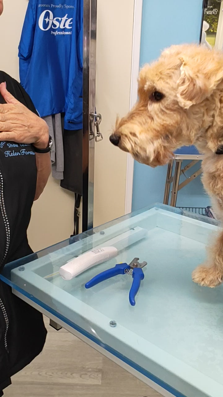 Shear Magic nail clippers and grinder