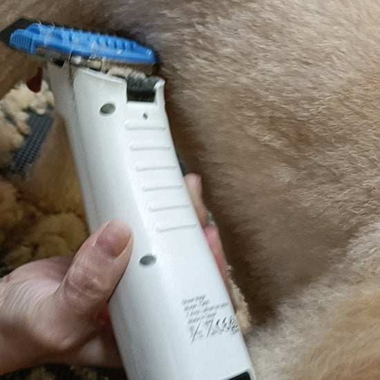 Jessica Lee using the Shear Magic Tuffy 3800