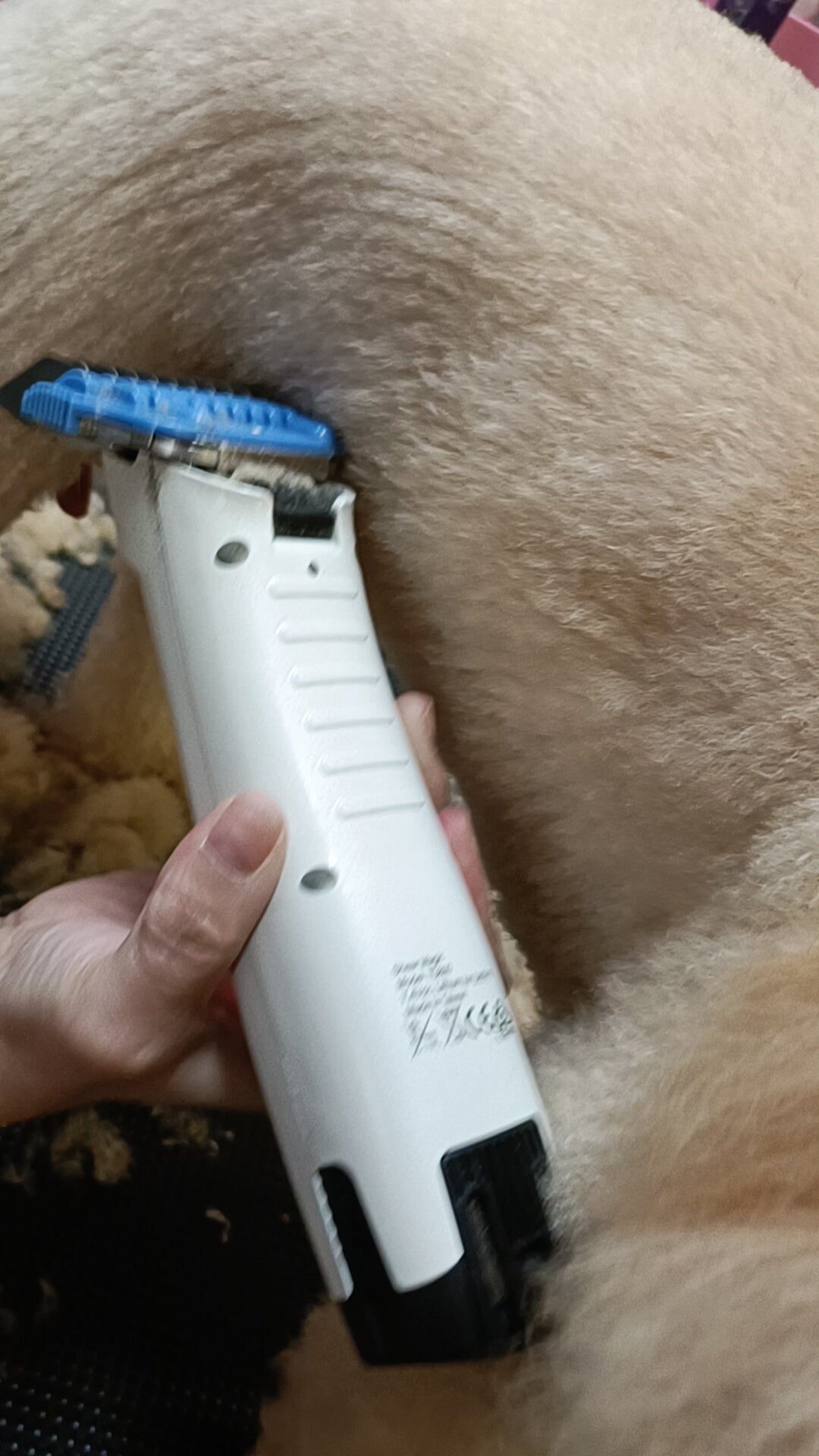 Jessica Lee using the Shear Magic Tuffy 3800