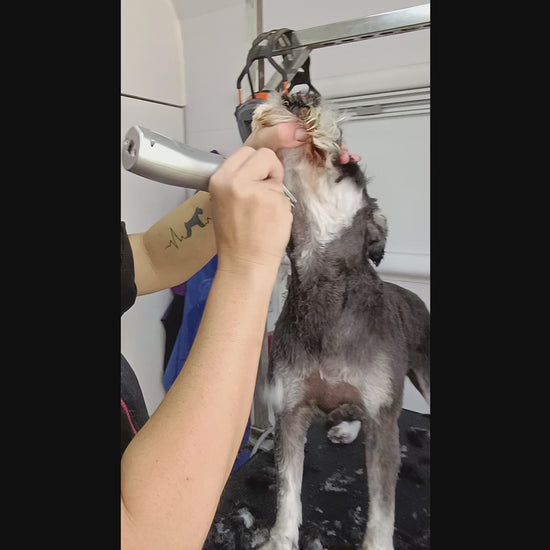 Shear Magic Tuffy 5 in 1