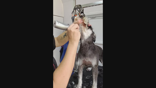 Shear Magic Tuffy 5 in 1