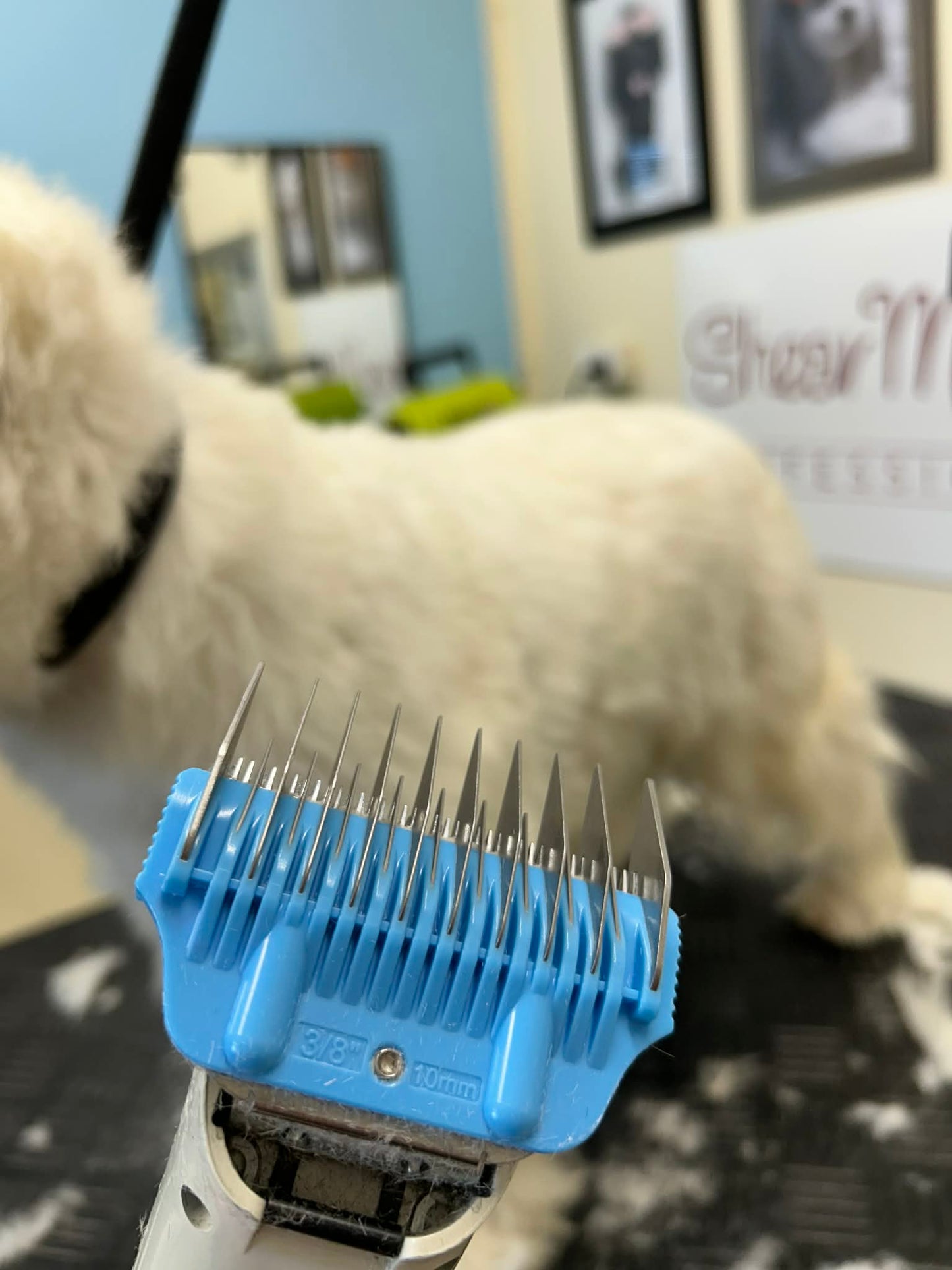Shear Magic Wide SKIP TOOTH Comb Attachment 10mm